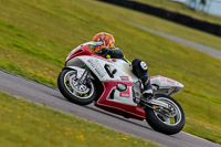 PJ-Motorsport-2019;anglesey-no-limits-trackday;anglesey-photographs;anglesey-trackday-photographs;enduro-digital-images;event-digital-images;eventdigitalimages;no-limits-trackdays;peter-wileman-photography;racing-digital-images;trac-mon;trackday-digital-images;trackday-photos;ty-croes